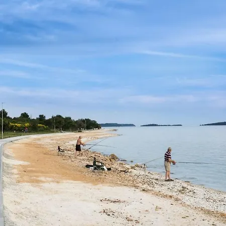 Comfortable In Near The Sea 페로이